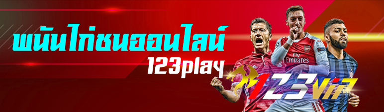 พนันไก่ชนออนไลน์ 123play